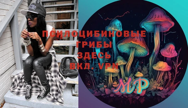 ПСИЛОЦИБИНОВЫЕ ГРИБЫ Мегион