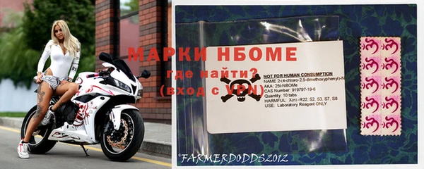 ПСИЛОЦИБИНОВЫЕ ГРИБЫ Наволоки