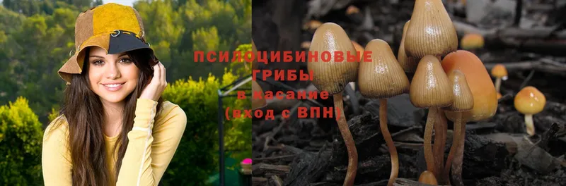 Псилоцибиновые грибы MAGIC MUSHROOMS  сайты даркнета клад  Нижняя Тура 